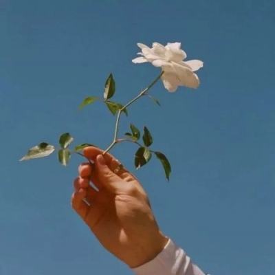小熊的动物诊所官方版下载